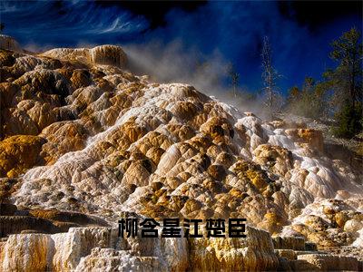 （柳含星江楚臣）柳含星江楚臣全文免费阅读无弹窗大结局_（柳含星江楚臣）柳含星江楚臣免费阅读无弹窗最新章节列表