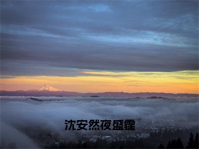 沈安然夜盛霆（沈安然夜盛霆）全文免费阅读无弹窗大结局_沈安然夜盛霆（沈安然夜盛霆小说免费阅读）_笔趣阁