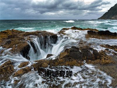 夏蝉谢临正版小说最新章节在线阅读-谢临夏蝉（夏蝉谢临）全文无弹窗阅读