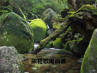 宋轻歌周司晨小说大结局精彩推荐，宋轻歌周司晨全文完整版在线阅读