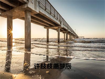 【新书】《许枝枝萧梦辰》全文免费阅读无弹窗大结局-许枝枝萧梦辰全文全章节免费阅读