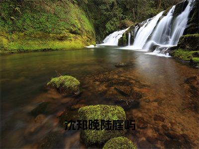 【新书】沈知晚陆庭屿全文全章节免费阅读-沈知晚陆庭屿小说免费阅读无弹窗最新章节列表