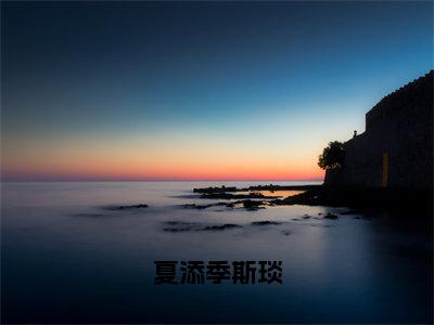 夏添季斯琰（夏添季斯琰小说）全文免费阅读无弹窗大结局_夏添季斯琰小说免费阅读最新章节列表