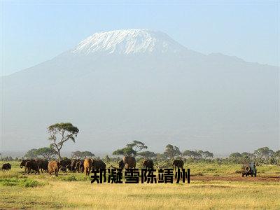 【新书】郑凝雪陈靖州全文全章节免费阅读-郑凝雪陈靖州小说免费阅读无弹窗最新章节列表