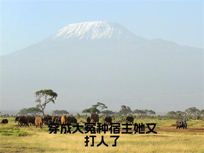 免费+全集穿成大冤种宿主她又打人了全文免费阅读无弹窗大结局_（穿成大冤种宿主她又打人了小说）乔月月在线免费阅读