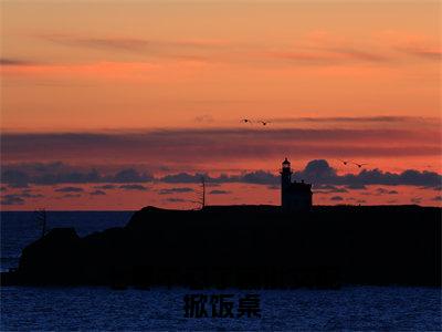 七零不忍了疯批女配掀饭桌（苏梨落陆知年）全文免费阅读无弹窗大结局_七零不忍了疯批女配掀饭桌最新章节列表