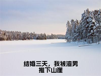 结婚三天，我被渣男推下山崖精选小说大结局阅读_（林苒容熠川）结婚三天，我被渣男推下山崖免费阅读最新章节列表