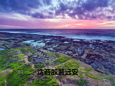 沈若皎裴远安小说免费阅读（沈若皎裴远安）全文免费阅读大结局-（沈若皎裴远安小说免费阅读）好书推荐