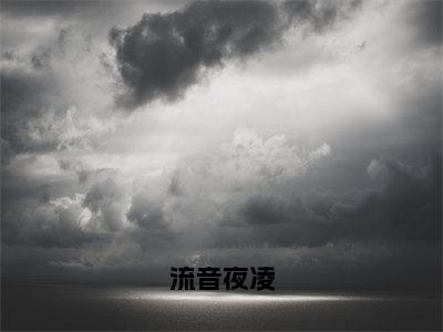 流音夜凌（流音夜凌）小说免费阅读-流音夜凌（流音夜凌）已完结全集大结局小说