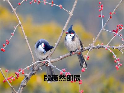 段薇然邵辰（段薇然邵辰）小说免费下载全本-段薇然邵辰（段薇然邵辰完整版）免费阅读无弹窗