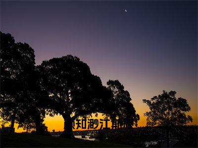 颜知渺江斯砚（颜知渺江斯砚）热门小说在哪免费看-颜知渺江斯砚小说颜知渺江斯砚全章节阅读