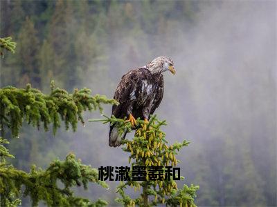 桃漱墨羲和（桃漱墨羲和）免费小说完整版阅读-（桃漱墨羲和）最新章节在线阅读