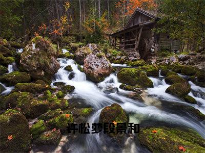 许松萝段景和（许松萝段景和）全文免费阅读无弹窗大结局_许松萝段景和全文阅读_笔趣阁（许松萝段景和）