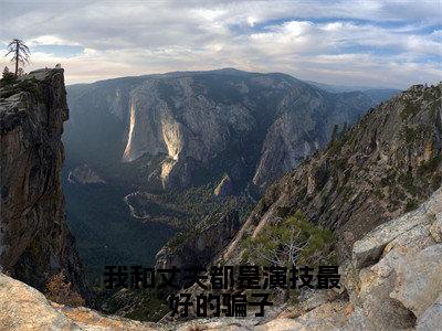 赵月澜宴临辰在线阅读（我和丈夫都是演技最好的骗子小说）全文免费阅读无弹窗大结局_我和丈夫都是演技最好的骗子免费最新章节列表