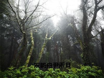 宋屿舟尹禾月（尹禾月宋屿舟）小说全文免费阅读-宋屿舟尹禾月（尹禾月宋屿舟）免费在线阅读完整版