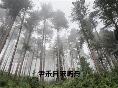 尹禾月宋屿舟全文全文免费阅读_尹禾月宋屿舟全文最新章节列表笔趣阁（尹禾月宋屿舟）