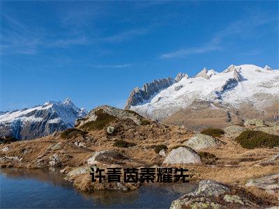 许青茵秦耀先许青茵秦耀先在线小说-许青茵秦耀先全文无删减版阅读