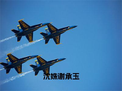 沈姝谢承玉（沈姝谢承玉）全文免费阅读_沈姝谢承玉（沈姝谢承玉）最新章节小说免费阅读