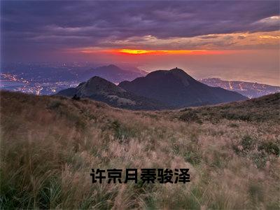 许京月秦骏泽热门推荐小说（许京月秦骏泽）精彩章节阅读-许京月秦骏泽全文免费在线阅读_笔趣阁