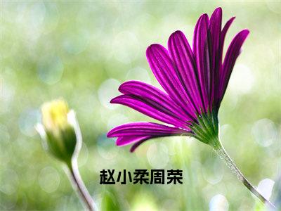 （免费）+（全文）赵小柔周荣（赵小柔周荣）免费阅读最新章节无弹窗赵小柔周荣完整版小说在线阅读