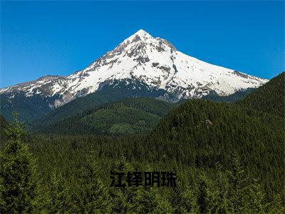 江铎明珠（江铎明珠）全文免费阅读无弹窗大结局_江铎明珠说免费阅读最新章节列表