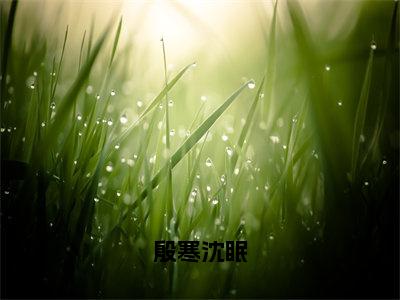 殷寒沈眠全文免费阅读_殷寒沈眠（沈眠殷寒免费阅读无弹窗）沈眠殷寒最新章节列表笔趣阁