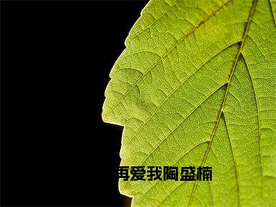 下辈子再爱我陶盛楠全文免费阅读无弹窗大结局-陶盛楠小说在哪里可以看