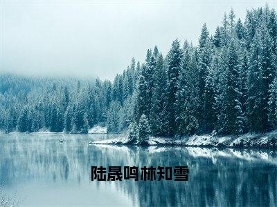 林知雪陆晟鸣（陆晟鸣林知雪）全文免费阅读_林知雪陆晟鸣（陆晟鸣林知雪）免费在线阅读_笔趣阁