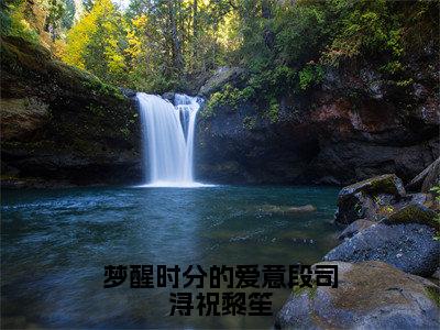 梦醒时分的爱意段司浔祝黎笙（祝黎笙段司浔全章节完整版）免费阅读_（祝黎笙段司浔）梦醒时分的爱意段司浔祝黎笙全文无删减免费阅读