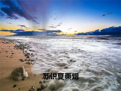 苏识夏秦熠（秦熠苏识夏）全文免费阅读无弹窗_苏识夏秦熠最新小说_笔趣阁