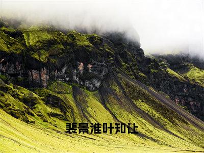 裴景淮叶知让（叶知让裴景淮）小说全文免费读无弹窗大结局_裴景淮叶知让小说全文免费阅读最新章节列表笔趣阁