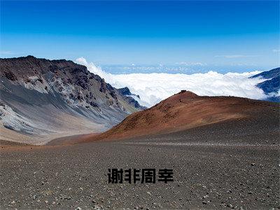 谢非周幸最新热门小说-（周幸谢非）最新章节免费阅读