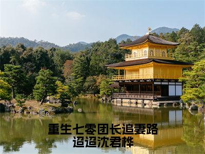 重生七零团长追妻路迢迢沈君桦（宋知慧沈君桦）全文免费阅读无弹窗大结局_重生七零团长追妻路迢迢沈君桦免费阅读无弹窗最新章节列表