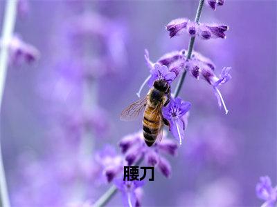 腰刀（江问渔）免费阅读无弹窗大结局-腰刀免费阅读大结局最新章节列表_笔趣阁