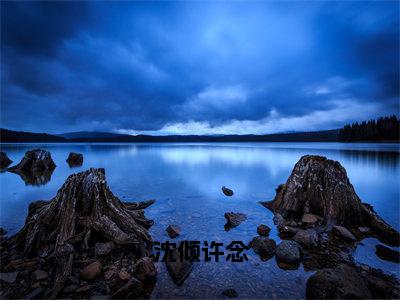 沈倾许念小说全文免费阅读-（许念沈倾）抖音新书热荐沈倾许念全文免费阅读