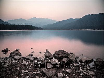 孟清苒顾居峖小说全文免费阅读_（孟清苒顾居峖）顾居峖孟清苒小说最新章节列表笔趣阁