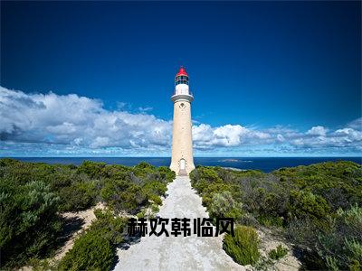 小说《韩临风赫欢》全文免费阅读无弹窗-赫欢韩临风小说全文在线赏析