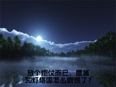 放个炮仗而已，鹰酱和灯塔国怎么就慌了？（陆晨）全文小说-放个炮仗而已，鹰酱和灯塔国怎么就慌了？小说最新章节免费阅读