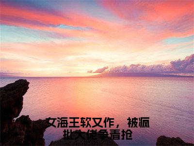 小说（女海王软又作，被疯批大佬争着抢）全文免费阅读_（沐奚璃）小说全文免费阅读