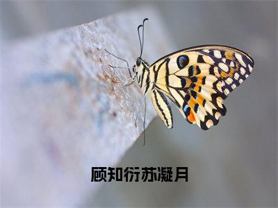 （番外）+（全文）顾知衍苏凝月小说免费下载阅读_（顾知衍苏凝月）苏凝月顾知衍最新章节列表_笔趣阁（苏凝月顾知衍）