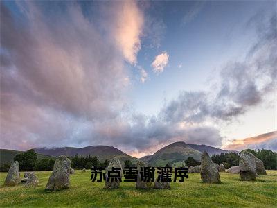 苏点雪谢濯序（苏点雪谢濯序）全文阅读-最火热点小说苏点雪谢濯序最新更新