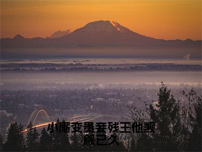 小厮变贵妾残王他觊觎已久小说最新章节-盛淮安江若蘅全文免费阅读无弹窗大结局