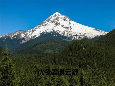 沈今晏谢云舒小说（谢云舒沈今晏）免费阅读全文无弹窗大结局_谢云舒沈今晏免费阅读无弹窗小说_小说笔趣阁