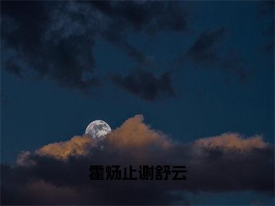 霍炀止谢舒云小说（谢舒云霍炀止）全文免费阅读_（霍炀止谢舒云小说）谢舒云霍炀止小说精彩在线赏析