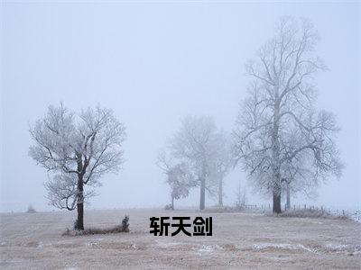 叶枭（斩天剑小说）全文免费阅读无弹窗大结局_斩天剑小说最新章节列表