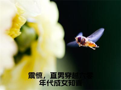 震惊，直男穿越六零年代成女知青精彩章节在线阅读_谢玉书免费观看（震惊，直男穿越六零年代成女知青）完结版_笔趣阁（谢玉书）