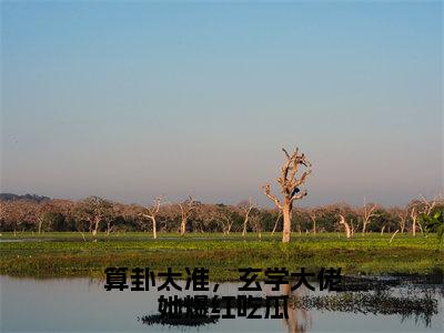 算卦太准，玄学大佬她爆红吃瓜（司遥宋闻景）小说免费阅读无弹窗大结局_（司遥宋闻景阅读无弹窗）最新章节列表