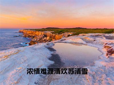 （浓情难渡清欢苏清雪）全网热搜是什么小说_浓情难渡清欢苏清雪小说（江承泽苏清雪）热门章节阅读无弹窗_笔趣阁（江承泽苏清雪）