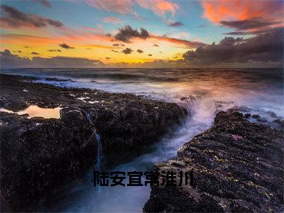 陆安宜常淮川（陆安宜常淮川）精选热门小说-小说（陆安宜常淮川）陆安宜常淮川全文免费阅读最新章节列表