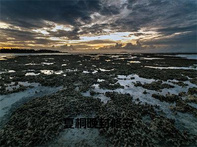 夏桐晚封修安全文免费阅读无弹窗大结局_（夏桐晚封修安免费阅读）夏桐晚封修安最新章节列表_笔趣阁